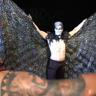wXw Back to the Roots XIX (1.18.20) review