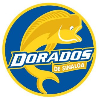 Football Manager Journeys #3: The Ecuadorian Misery Trail