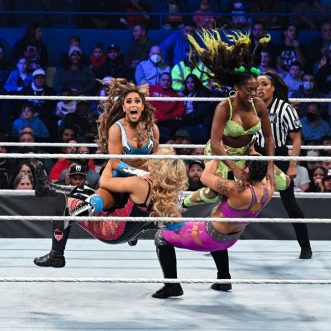 Women of the WWE – November 14-20