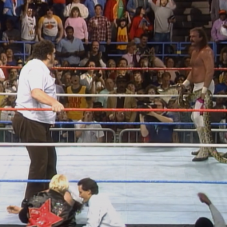 WWF Saturday Night’s Main Event #17 (10.29.88) review 