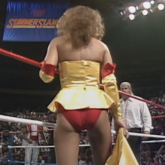 WWF Summerslam 1988 – Where the Mega Powers Meet the Mega Bucks (8.29.88) review 