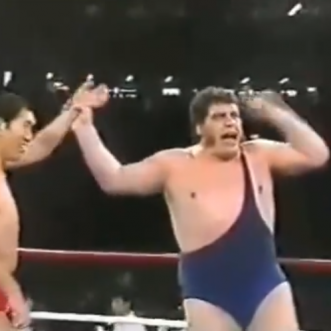 WWF/AJPW/NJPW Wrestling Summit (4.13.90) review 