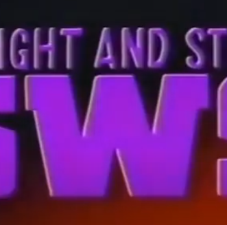 SWS Fighting Party Beginning 1990 review 