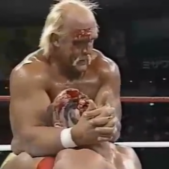 SWS Wrestlefest in Tokyo Dome (3.30.91) review 